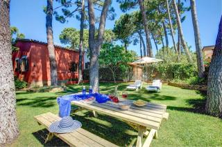 Níspero by Vintage Travel - 9