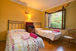 Níspero by Vintage Travel - 5