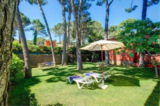 Níspero by Vintage Travel - 3