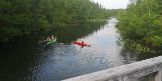 seenahes Ferienidyll - 8