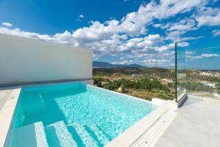 Penthouse with private pool - 8