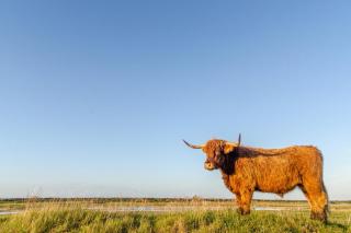 Entre Terre Et Mer - 9