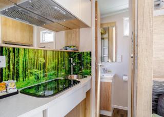 Notter Bridge Holiday Park - 4