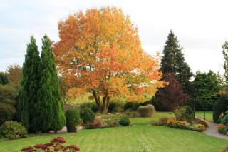 Ferienwohnung Katzan - 8