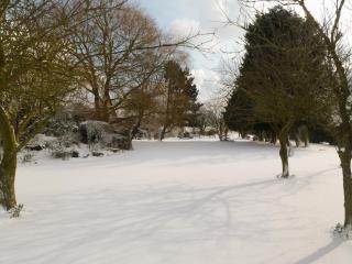 Ash Cottage E1224 - 6