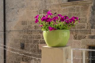 Dimora con terrazza vicino Otranto - 8