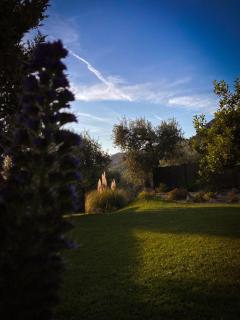 Villa Pasitea - Nature & Sea Retreat in Gargano, Puglia - 0