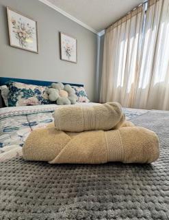 Departamento Teatinos Santiago Centro - 5