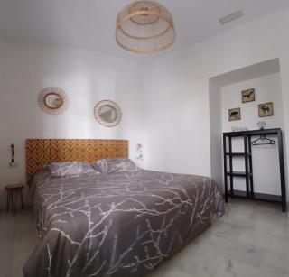 LUXURY & NEW APARTMENT CORREDERA - 9