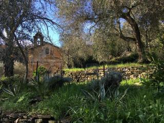 Modernes Casa Camillo im Olivenhain - 9