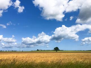 Painter's Cottage - 1