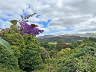 Coast To Coast Cottage - 2