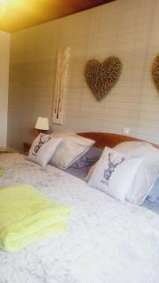 Eifelraum-Relaxwohnung - Oberbettingen - 8