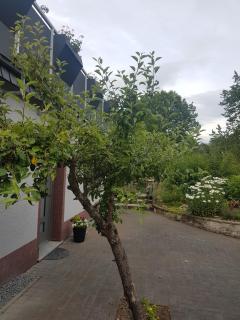 Eifelraum-Relaxwohnung - Oberbettingen - 5