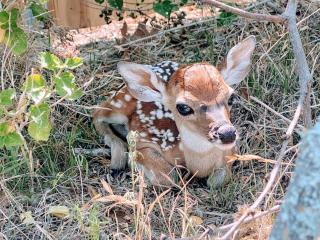 Serenity Retreat, Escape The City, Nature, Lake - 6