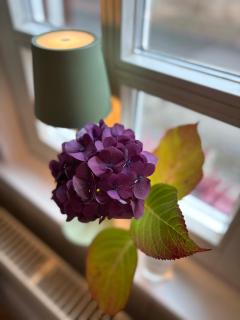 Das Häuschen 1650 - 6