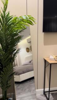 استديوهات أُنس بطابع بوهيمي - 0