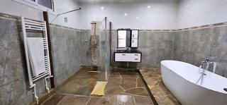 Villa avec piscine en montagne - 1