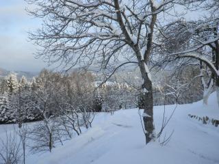 Haus am Teich mit privater Sauna - 9