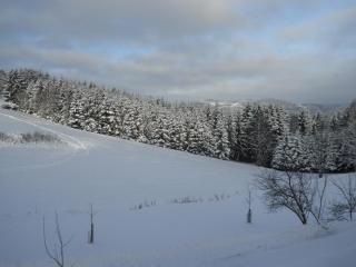 Haus am Teich mit privater Sauna - 8