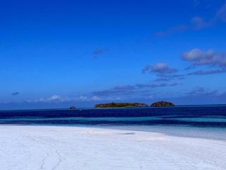 Escape to 'This is It' Your ultimate Beachfront Retreat - 9