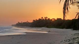 Waves ranna cabana and seafood - 6