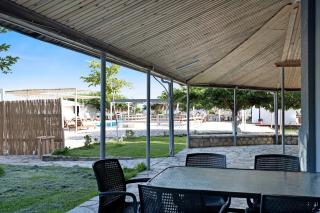 Iguana studio 11 - 0