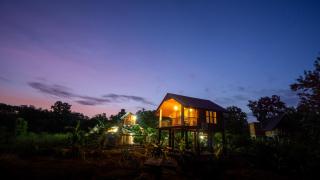 Lion Wood Treehouse - 0