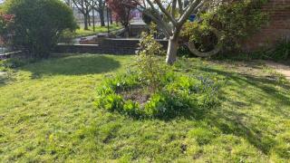 AwayOnBusiness Light Sunny Detached House Garden - 3