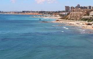 Apartment In Villamartin - 4