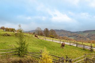 Chalet Bergliebe - 6