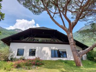 Villa Pinie Apt 1 - 8