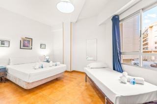 Sunflower Siroco - 8