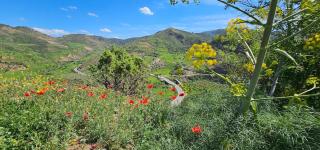 Villa avec piscine en montagne - 8