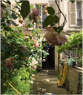 Cosy Calme - Quartier Ve Jardin des plantes - 1
