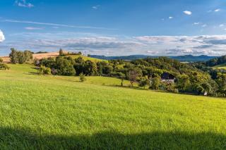 Kleines Ferienhaus Kirschallee - 2