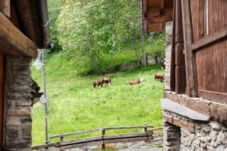 Aux Pieds du Malatra' 2 - 8