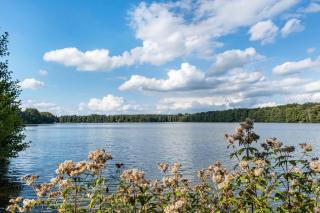 Tiny House Ernesto - Nahmitz - 8