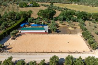 Pasa Fina, luxury holiday retreat - 9