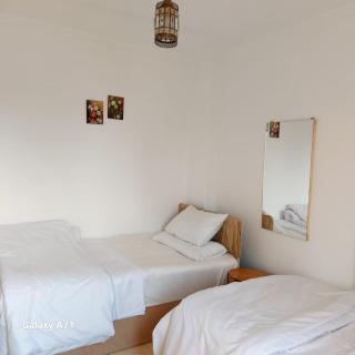 Giza Pyramids View - 1