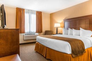 The Black Swan Lee - Lenox, an Ascend Collection Hotel - 7