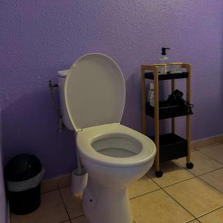 Appartement Montabo Zen T2 - Jacuzzi - Jardin - Terasse - Wifi - Clim - Zac hibiscus - 4