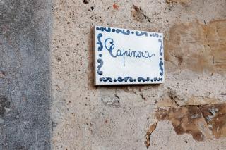 Universal Harmony - Capinera - 8