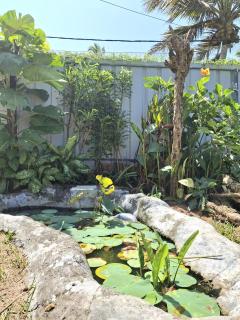 Sadhana on the beach - 7