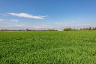 Haus Castellbergblick mit Balkon - 7