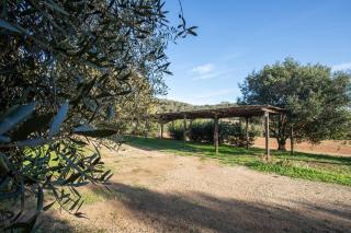 Gelsomina- Agriturismo La Valentina - 9