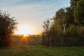 Simple Basketmakers Hut Cabin for Two - 6