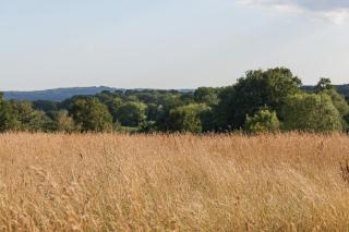 Simple Basketmakers Hut Cabin for Two - 4