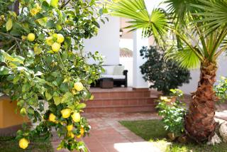 Villa Margaritas - 6