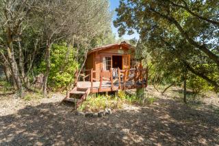 Chalet atypique - Saint-Pierre-de-Vassols - 9